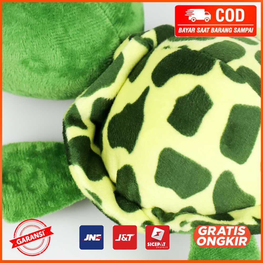 Boneka Kura kura Stuffed Turtle Doll Toy