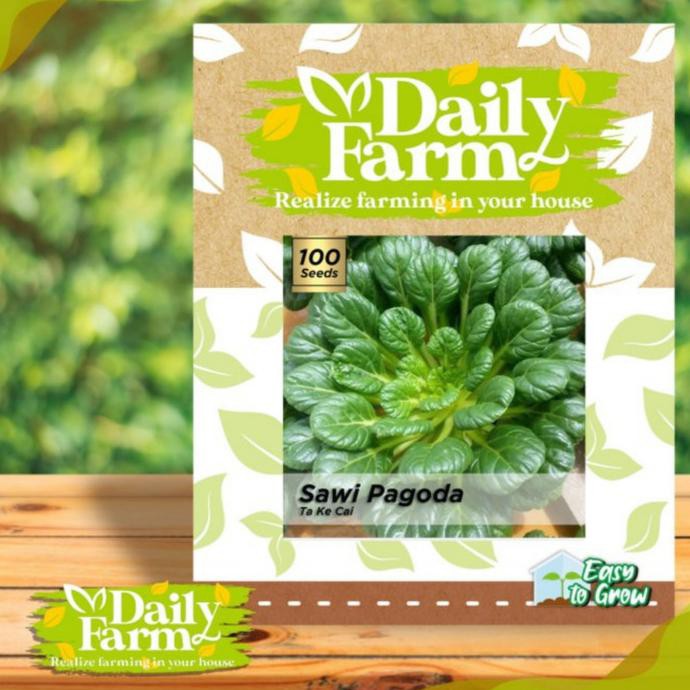 

Sawi Pagoda Daily Farm Anehid90 Kualitas Baik