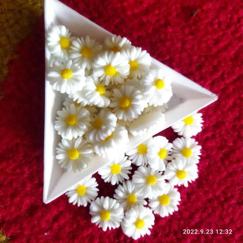 10 pcs bunga daisy cantiik