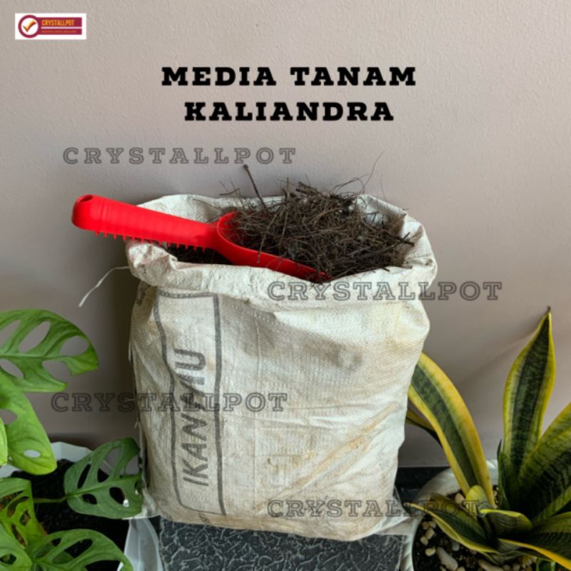 media tanam KALIANDRA penggemuk anggrek dan tanaman hias - KARUNG