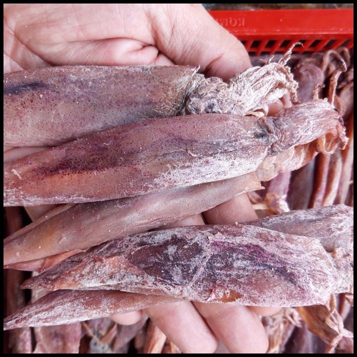 

Ikan Cumi Asin Ss Gepeng Kualitas Super