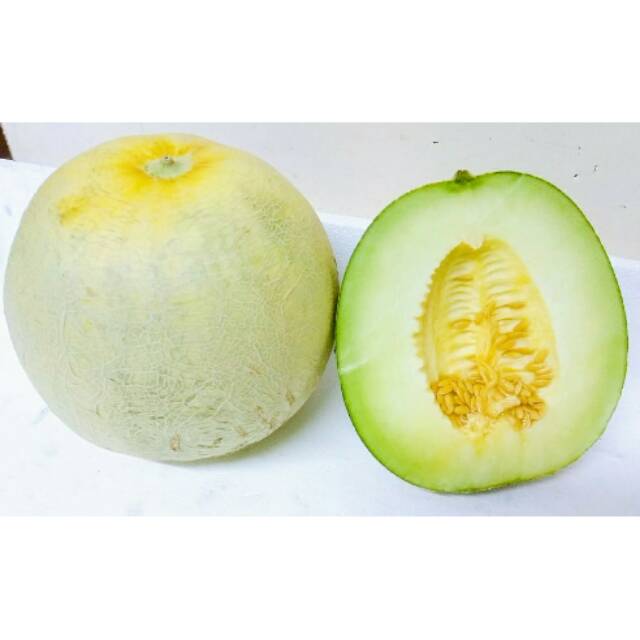 

Buah melon