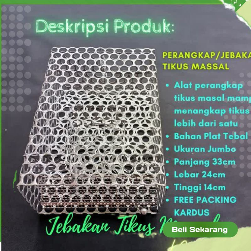 JEBAKAN TIKUS MASAL / PERANGKAP TIKUS MASAL JUMBO