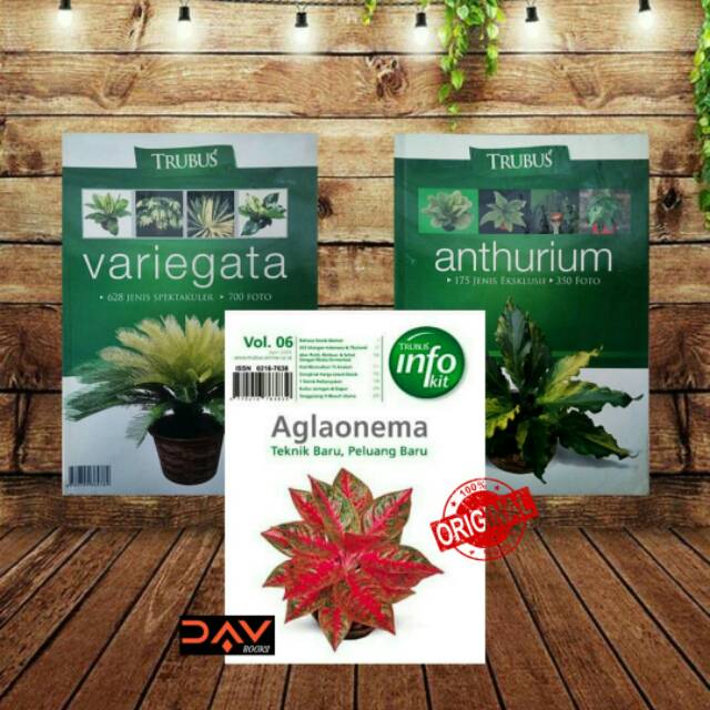 

BUKU PAKET ANTHURIUM, VARIEGATA, AGLAONEMA