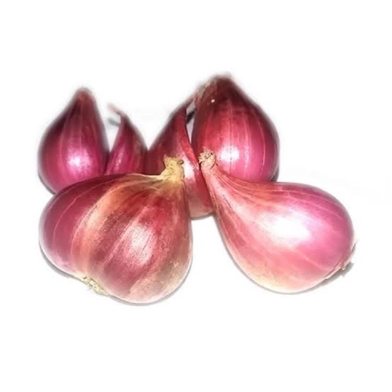 

Bawang Merah
