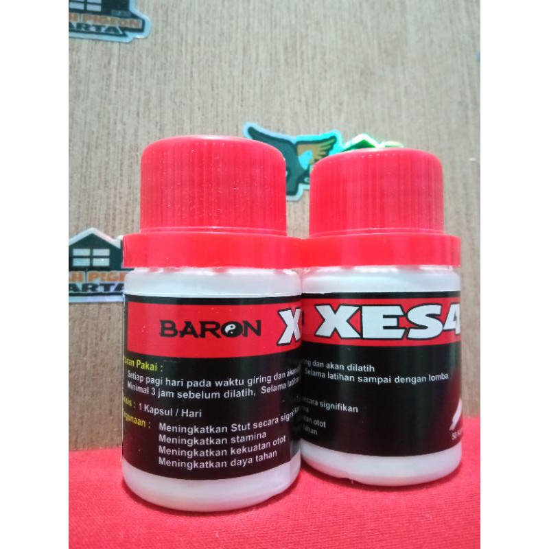 doping lomba khusus burung dara merpati lomba stut tenaga kencang sprint maximal xes4 baron