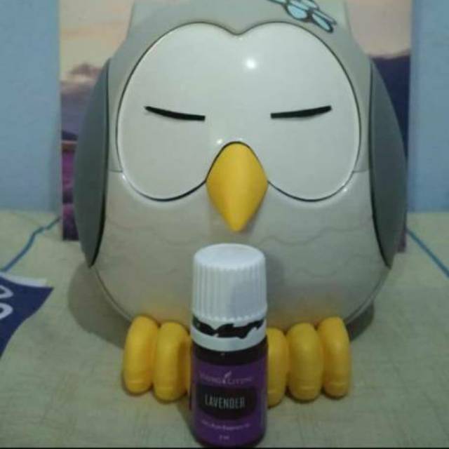 young living essensial oil diffuser owl