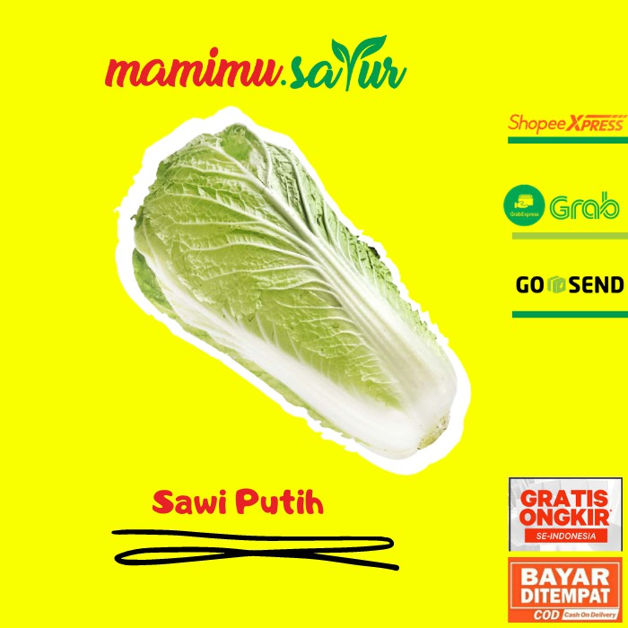 

SAWI PUTIH SEGAR 500 GR SAWI PETSAI SAWI SEGAR 500 GR SAYUR SAYURAN SEGAR SAWI 500 GR
