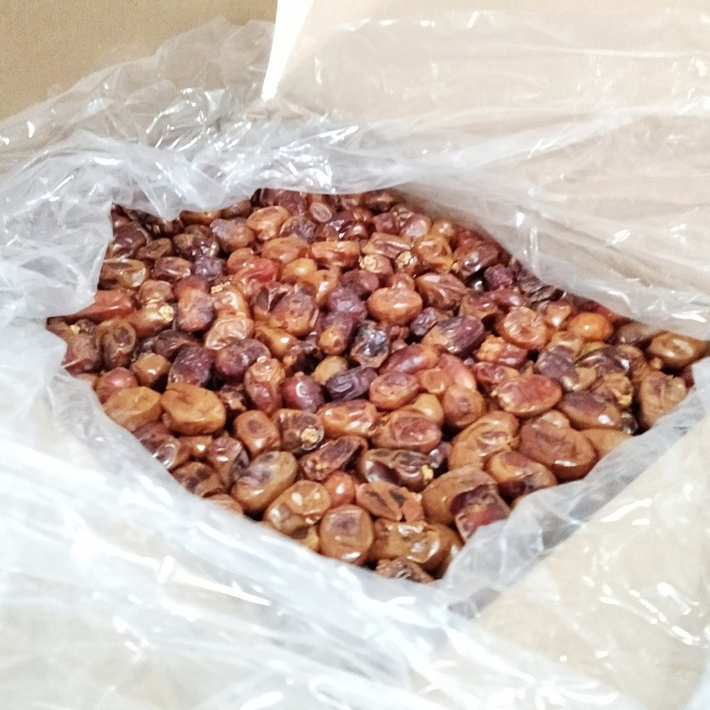 KURMA KHALAS AL SAAD 10 KG FRESH