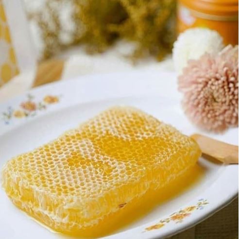 

Madu Sarang Melifera 250 Gr Kualitas Super