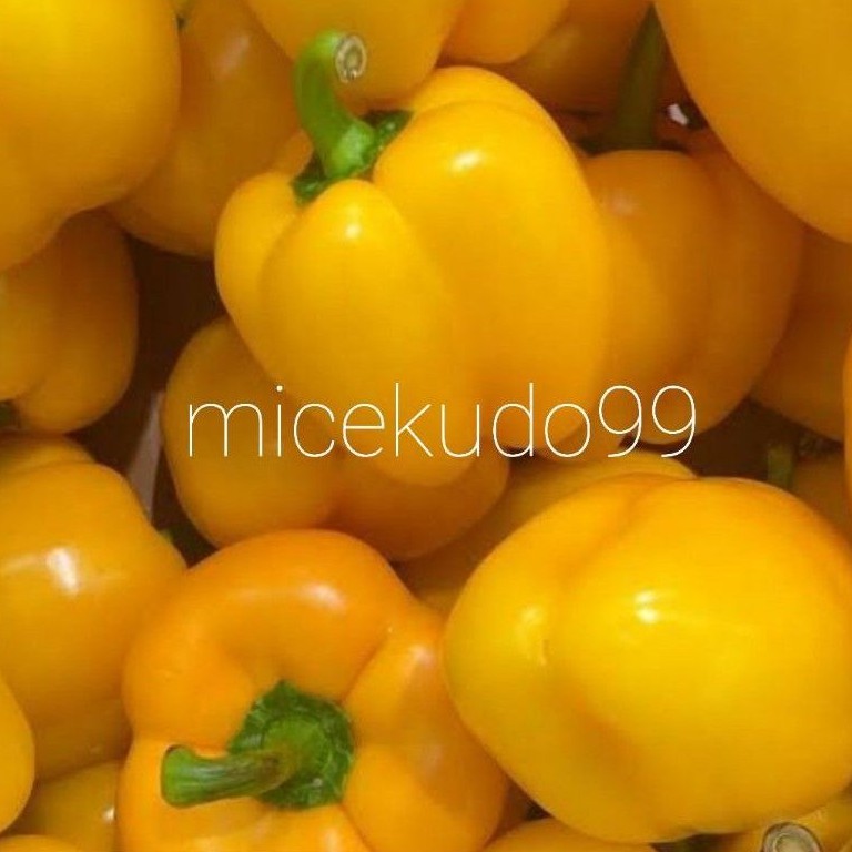 

YELLOW BELL PEPPER FRESH / PAPRIKA KUNING SEGAR