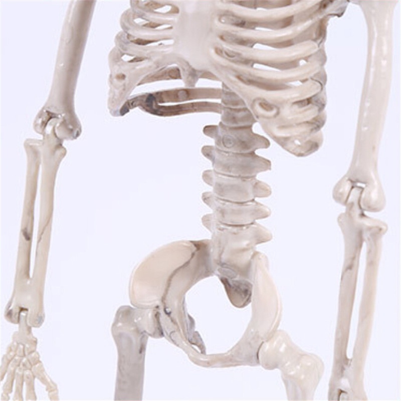 {LUCKID}Posable Skeleton Halloween Decor Scary Man Bone Creepy Party Decoration