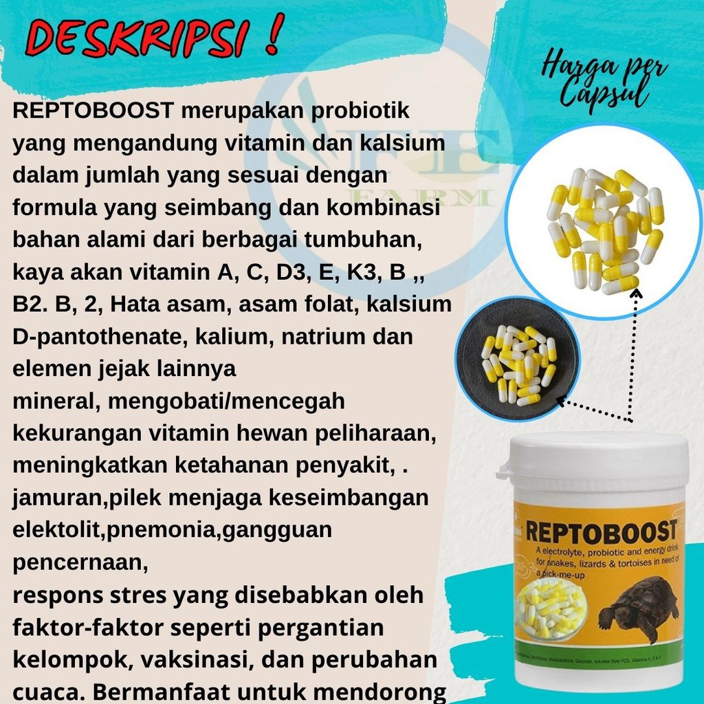 KAPSUL ECER OBAT REPTIL OBAT PILEK PNEMONIA PENAMBAH NAFSU MAKAN REPTOBOOST