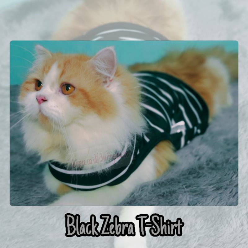 [BAJU KUCING/ANJING] Black/White Strip Zebra T-Shirt