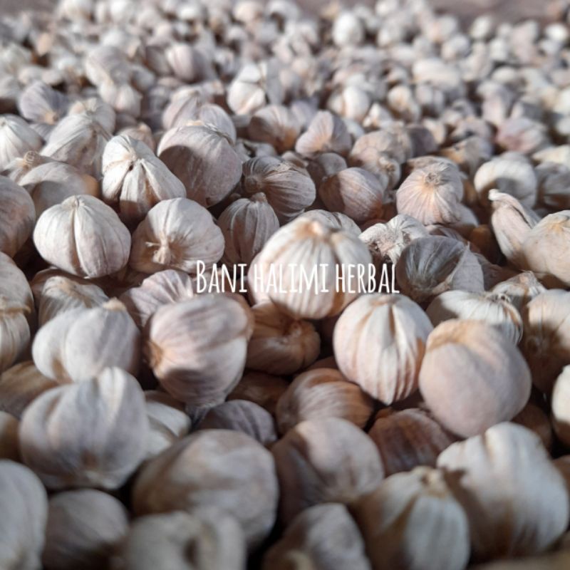 

Kapulaga Kering Jemuran Tanpa Ampas 1 Kg