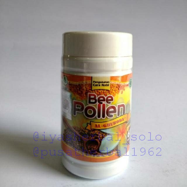 Kapsul Bee Pollen