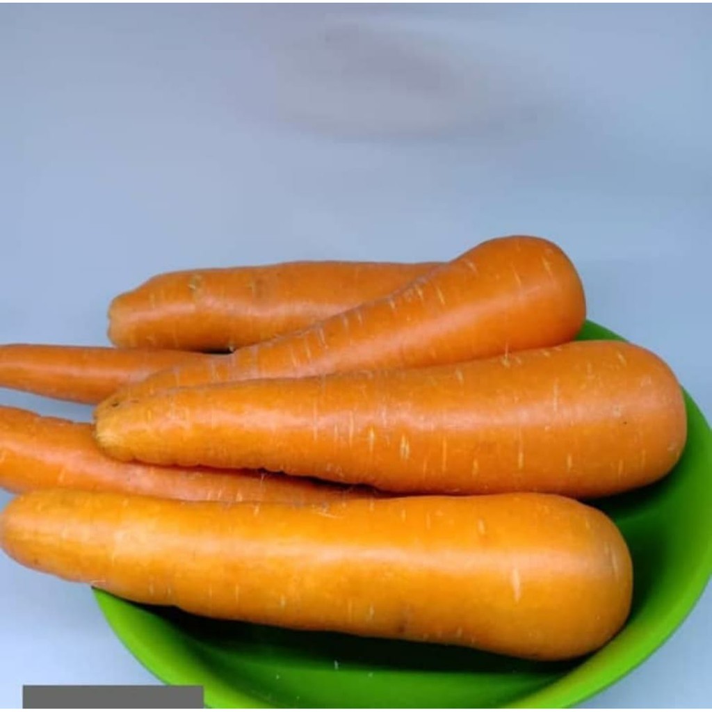 

Wortel Import