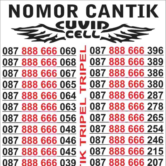 Nomor cantik tripel 888 666