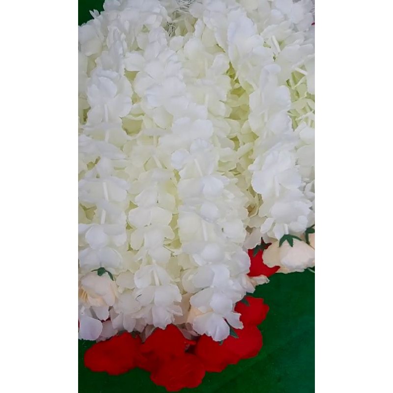 daun murah per biji/daun murah per 1pcs