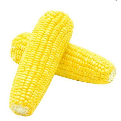 

Jagung Manis 1000gr