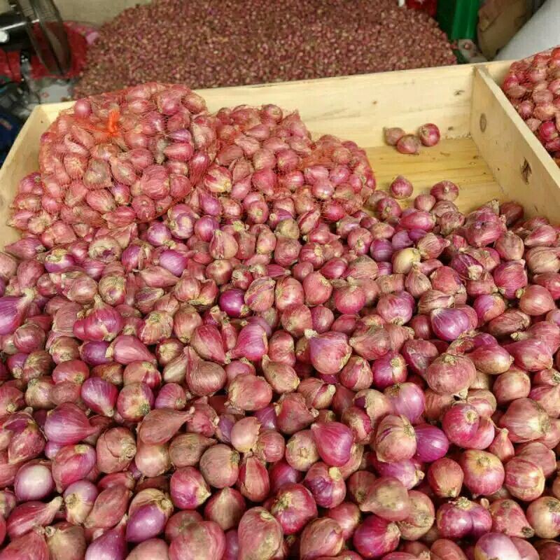 

Bawang Merah Brebes Super 250 gram