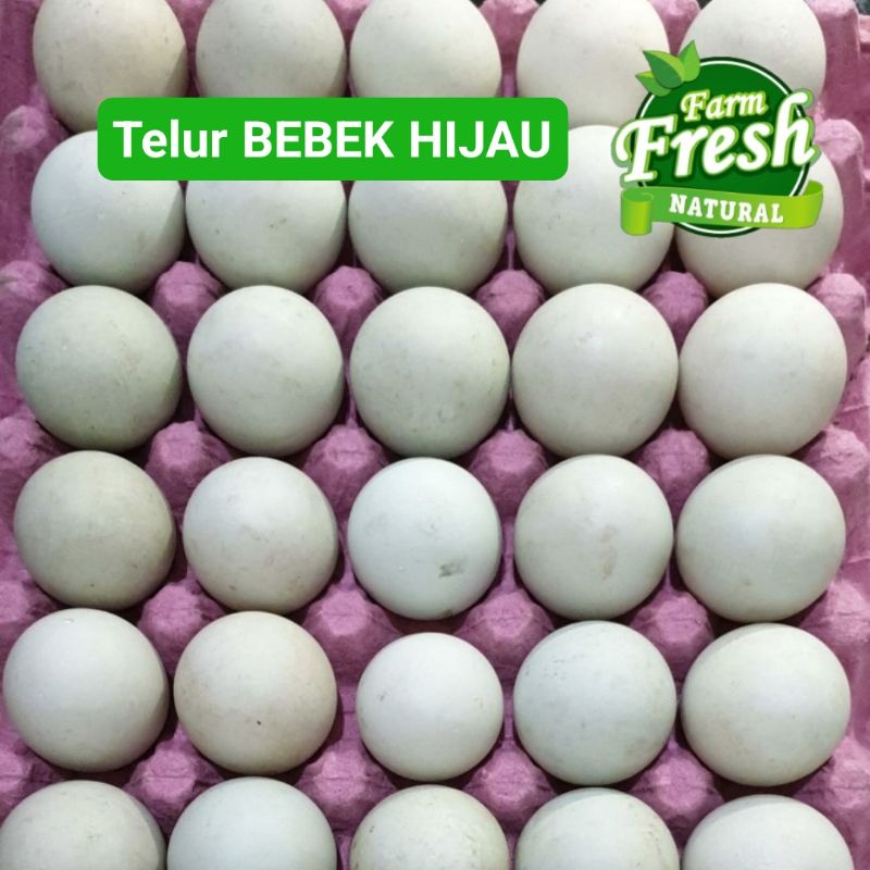 

Telur BEBEK HIJAU Kualitas Bagus SEGAR