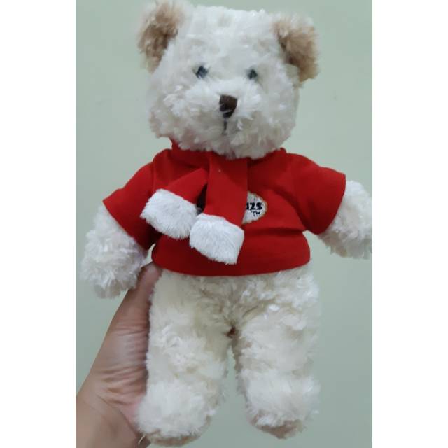 Teddy Bear Haagen Dazs by Teddy House /boneka beruang / beruang baju /teddy costume / kostum