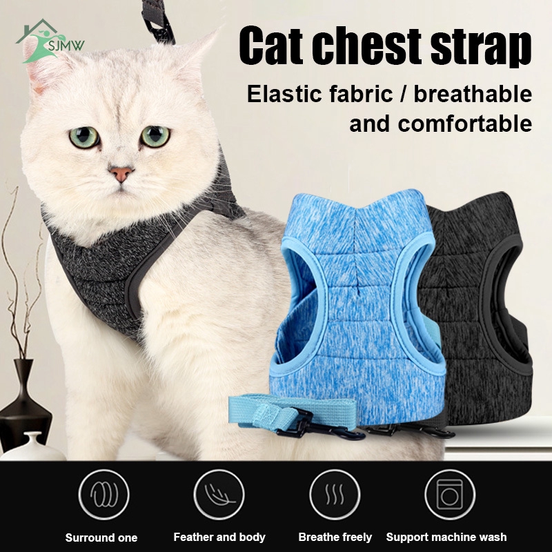 small cat harness and leash