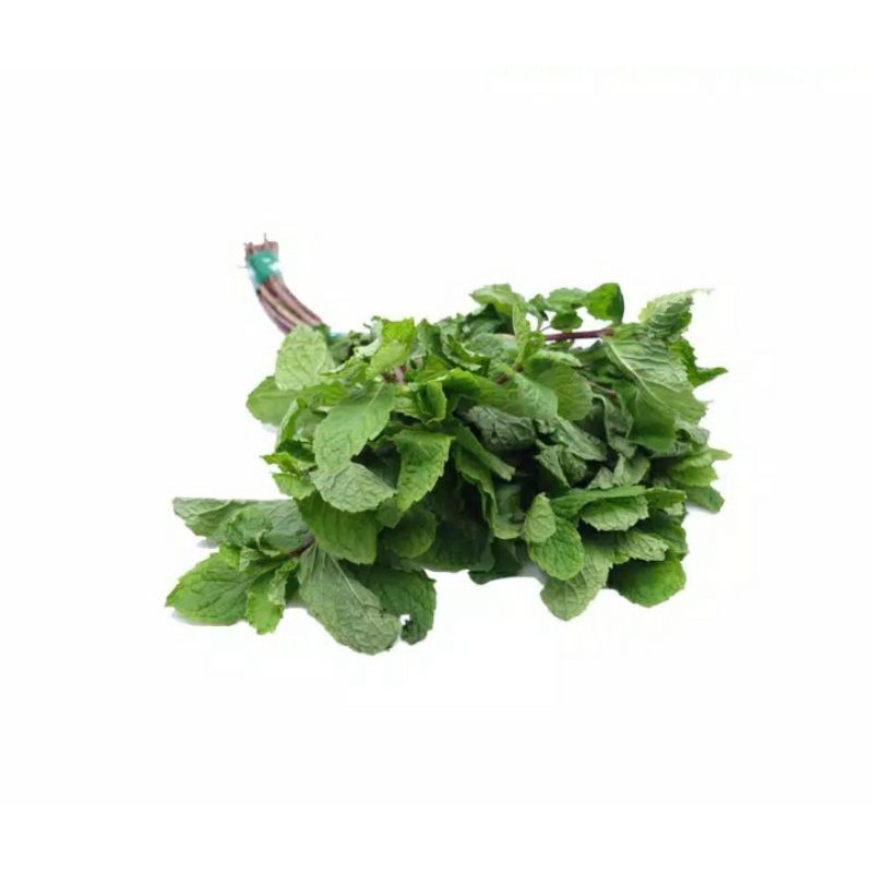 Daun Mint 100gr