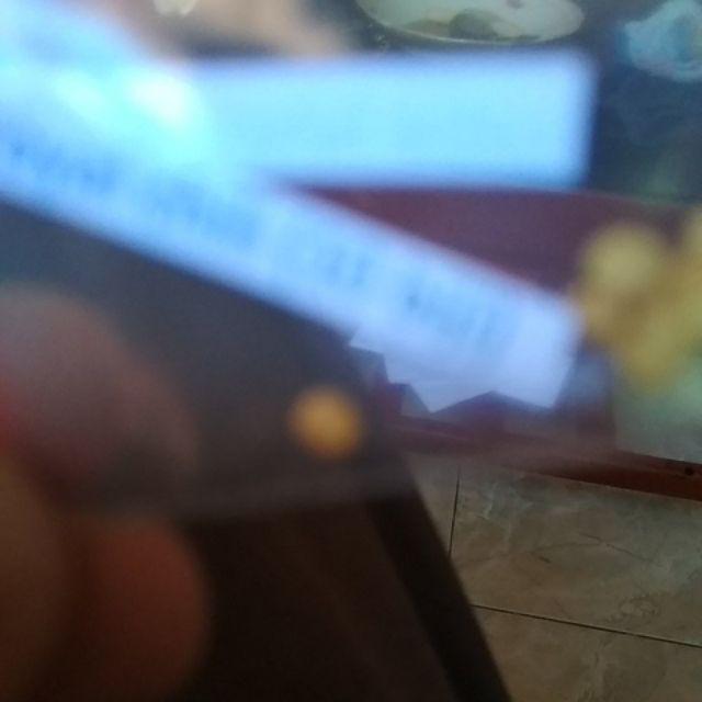 Biji/benih/bibit Bunga Tabebuia Caraiba (10 Biji)