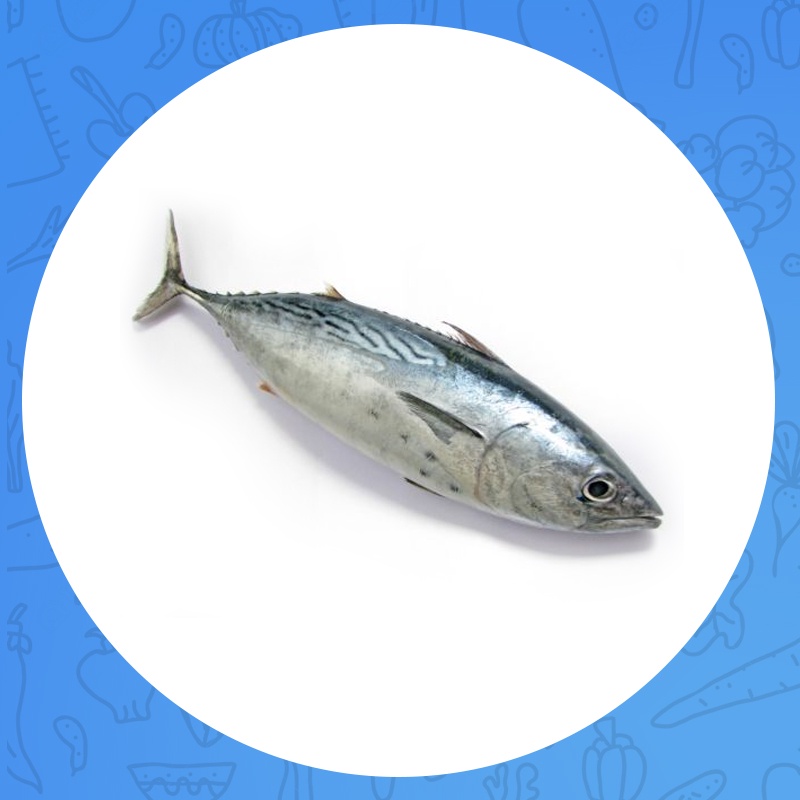 

TUNA 1000-1250 gr