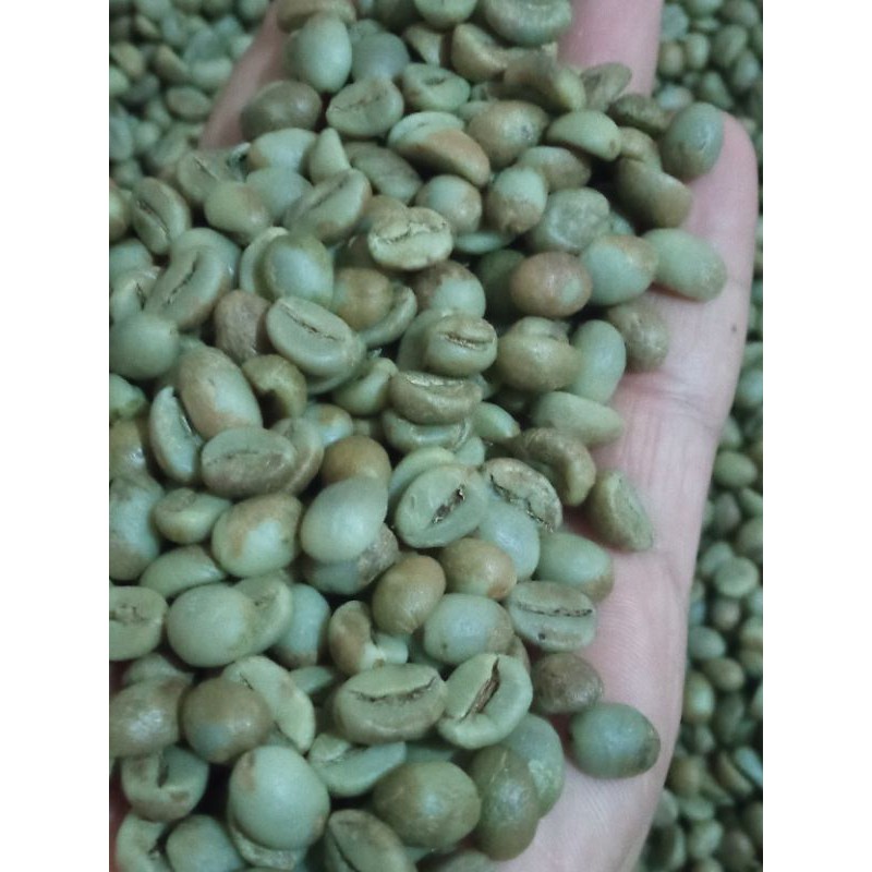 

Greanbean Robusta kawi G1
