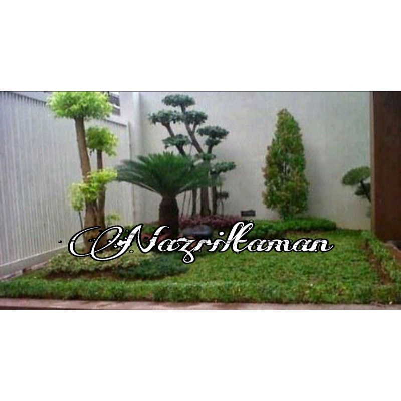 Jasa Pembuatan taman / jasa bikin taman