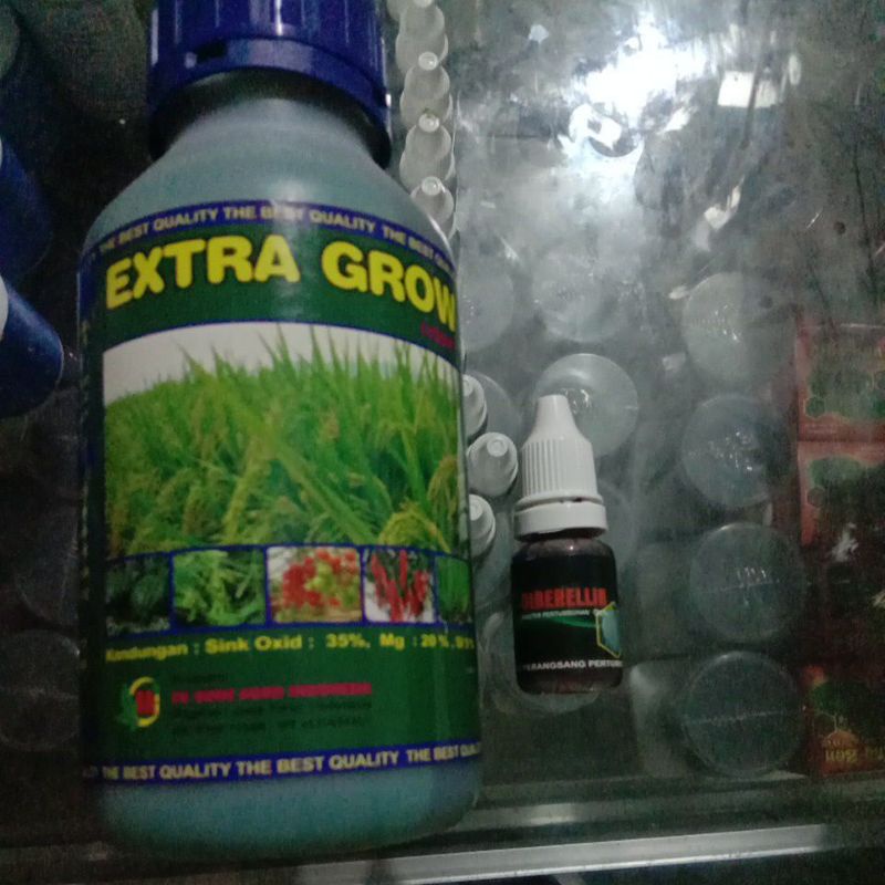 EXTRA GROW DAN GIBERELLIN GA10