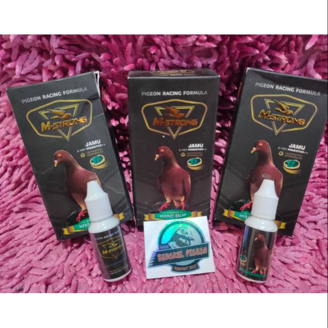 Jamu doping tetes lomba khusus merpati ebod m strong burung dara kolongan balap tomprang pos