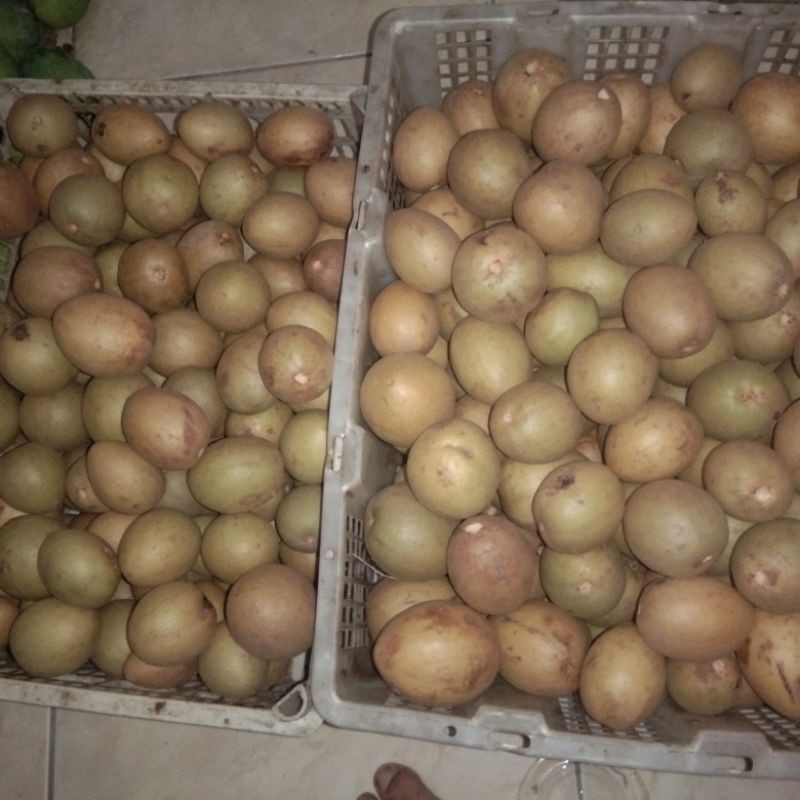 

buah buahan