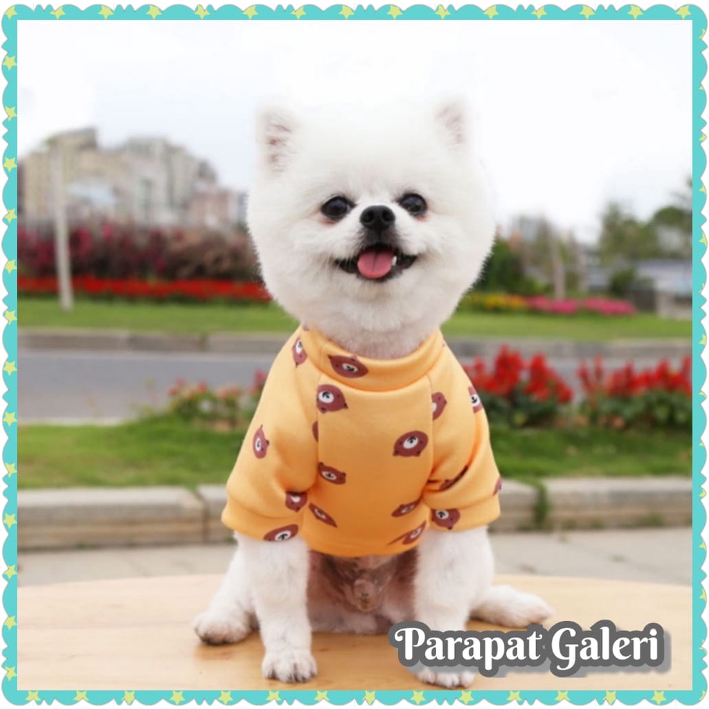 Baju Kucing - Kostum Anjing Musim dingin kwalitas Premium New Varian Sweater Pet Clothes