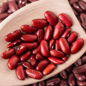 

KIDNEY BEAN / KACANG MERAH ORGANIK 500G