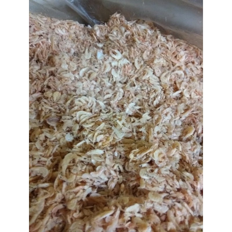 

Udang Rebon