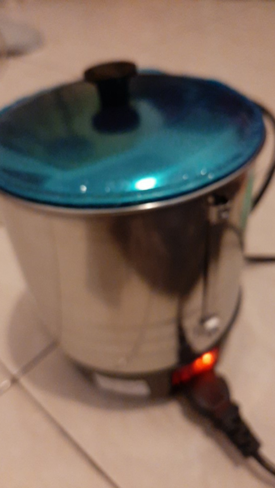 Electric Heating Cup / Mug Listrik Gelas Masak / Teko Listrik