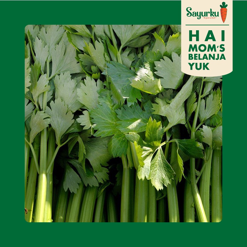 

Celery Stick 500 gr