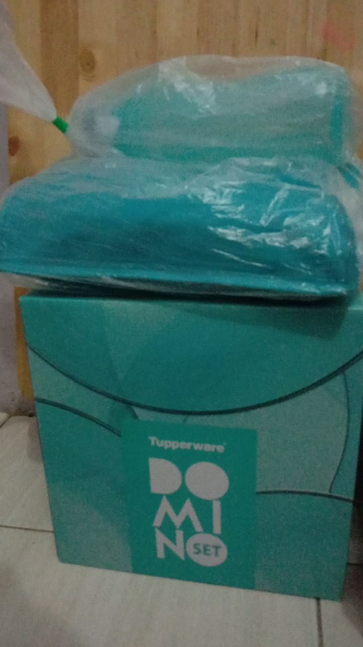 Domino Set Wadah Penyimpanan