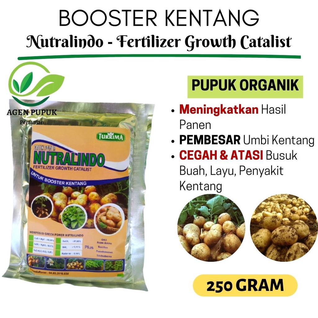 Booster Kentang Organik Pupuk Penyubur Kentang, Obat Pembesar Umbi Kentang Anti Layu Busuk Buah