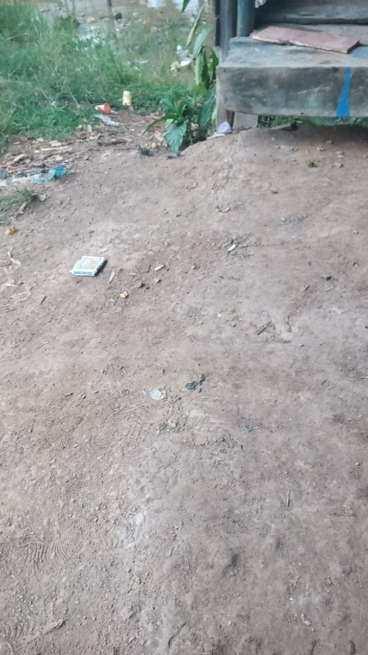 Bswart Batik Hrb026 Kenongo Hem Pendek Padi Pekalongan M L Xl Batik Pria Murah Modern Grosir