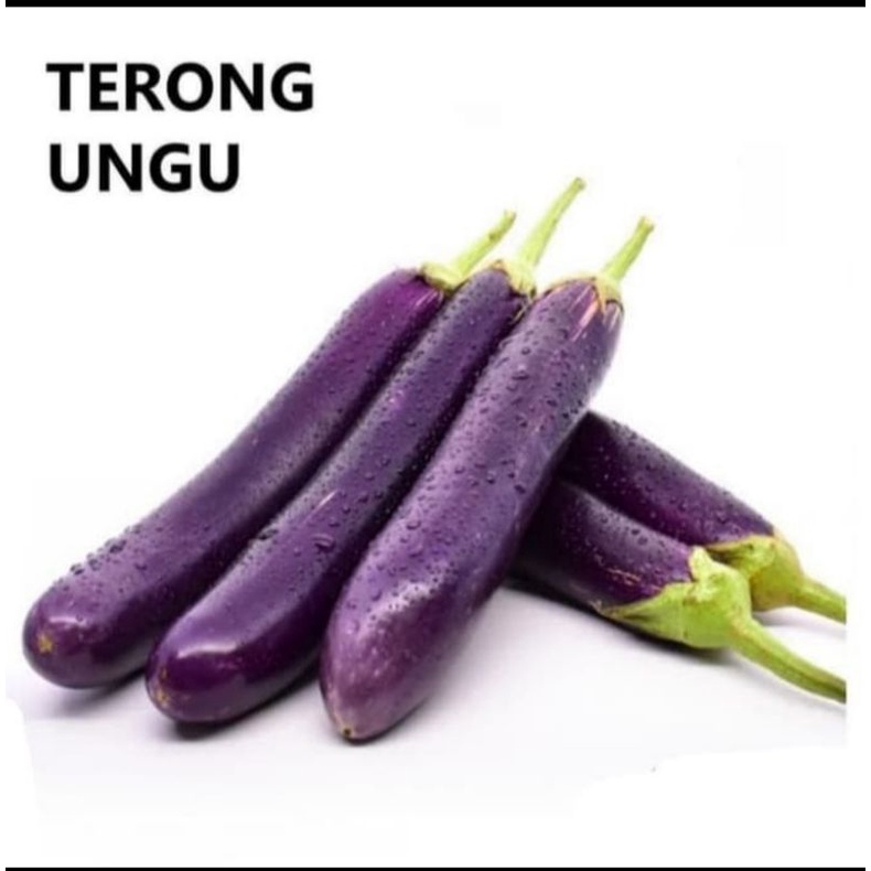 

terong ungu 500gr