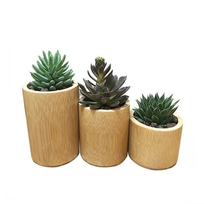 Inilah Contoh Pot Bunga Dari Bambu Terpopuler Informasi