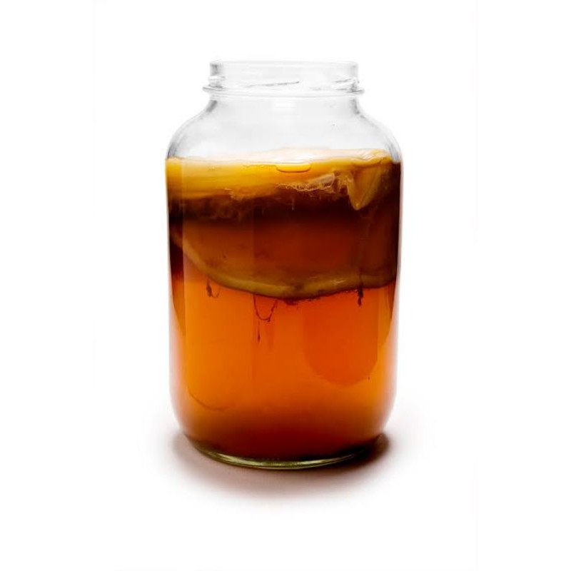 

teh kombucha