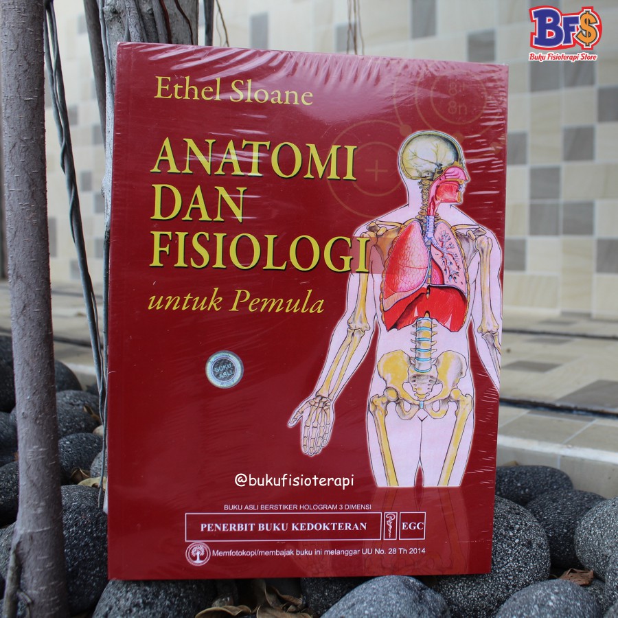 Anatomi dan Fisiologi untuk Pemula
