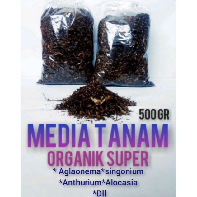media tanam aglonema media tanam aglaonema pupuk organik pupuk kompos pupuk kandang pasir malang sek