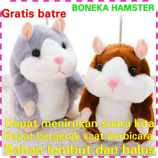 Hamster Bicara / Hamster Rekam /Hamster Pintar